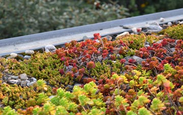 the cost of Nashes Green green roof installation