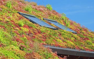Nashes Green living roof systems