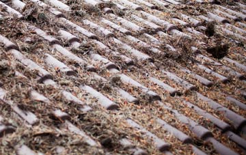 Nashes Green roof cleaning companies