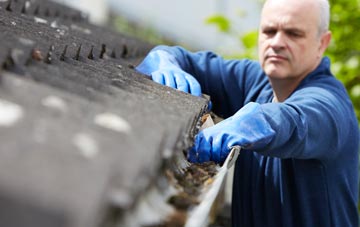 cleaning and inspecting Nashes Green roofs