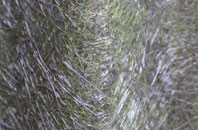 Nashes Green fibreglass roof work